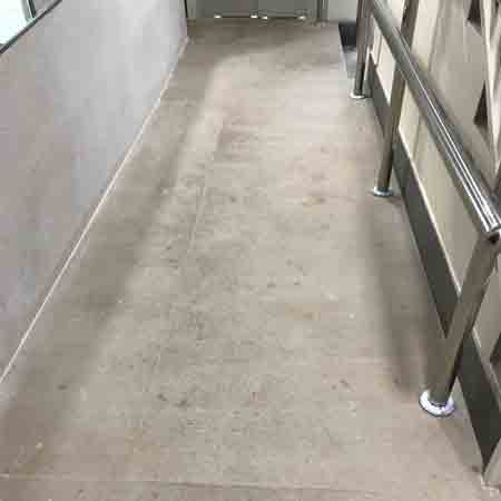 Limpieza en cerámica en el club de Remo de Lekeitio