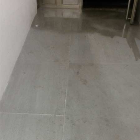  Limpieza y protección antisuciedad  en Sestao