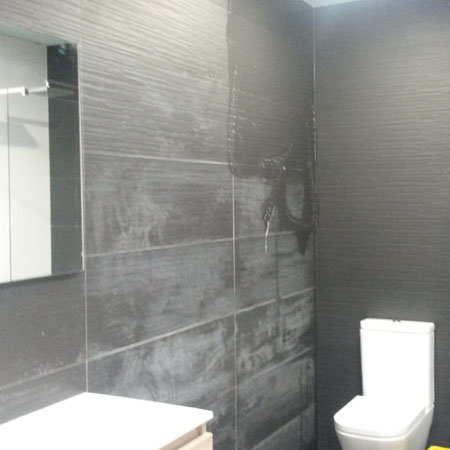 Limpieza y tratamiento Fila Stop Dirt. Tudela ( Navarra ).